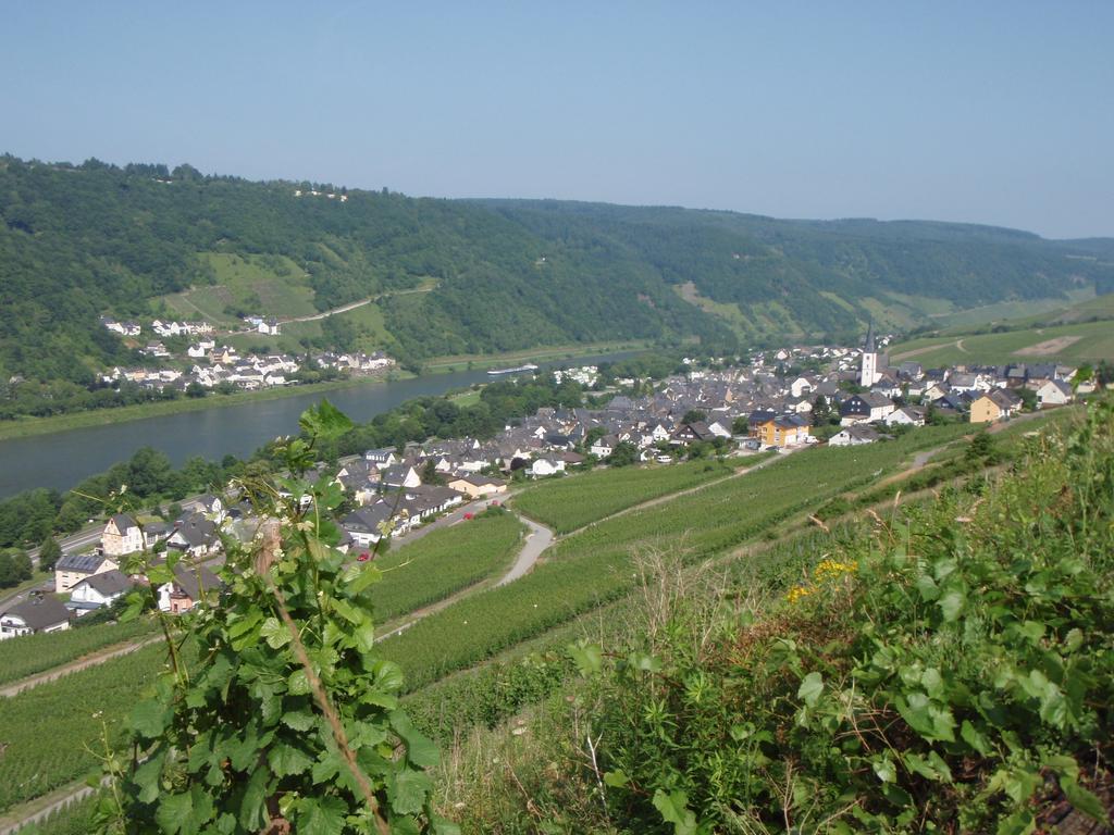 Hotel Weingut Stiftshof Enkirch Exteriér fotografie
