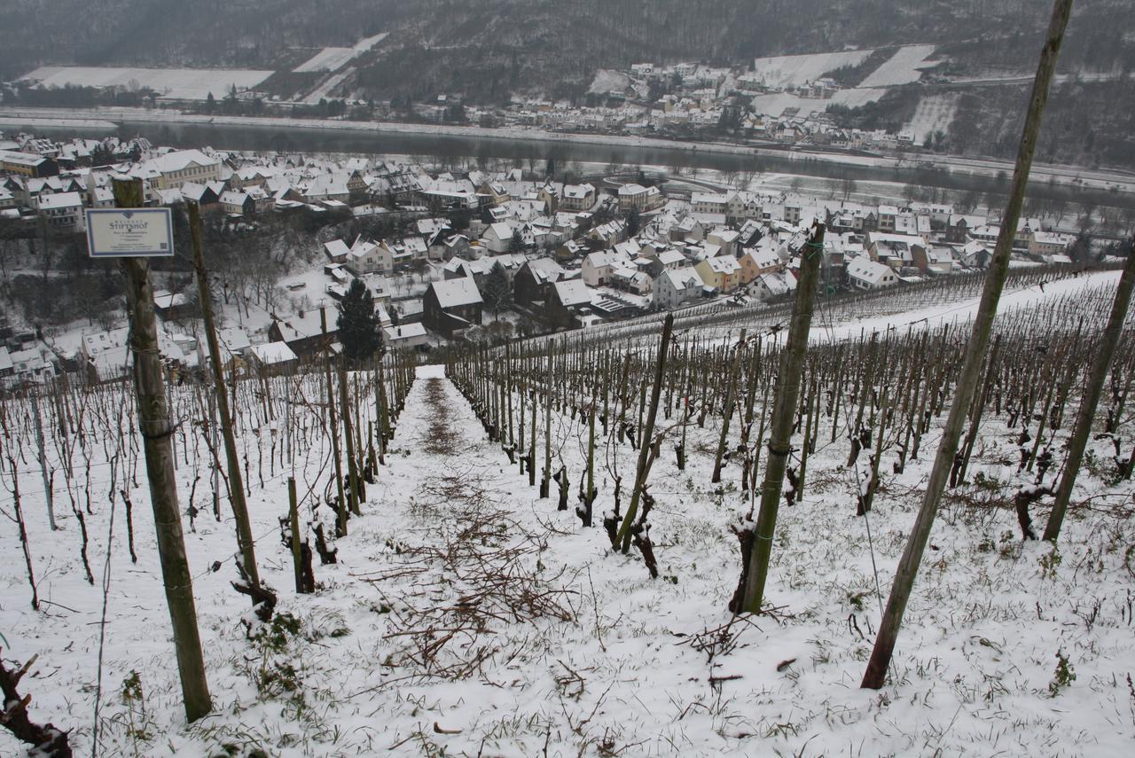 Hotel Weingut Stiftshof Enkirch Exteriér fotografie
